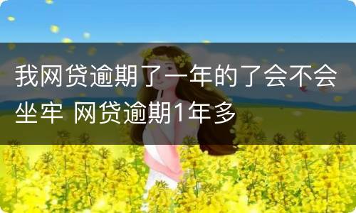 我网贷逾期了一年的了会不会坐牢 网贷逾期1年多