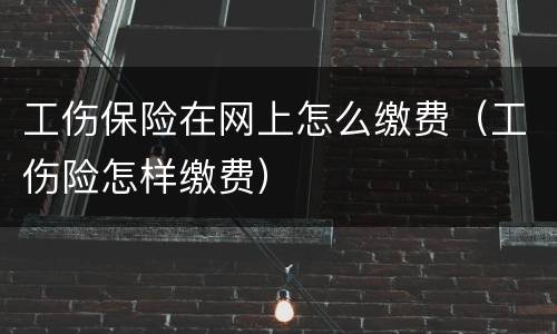工伤保险在网上怎么缴费（工伤险怎样缴费）