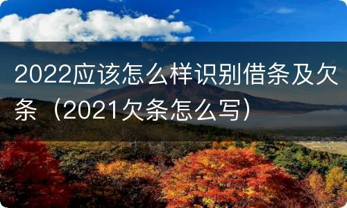 2022应该怎么样识别借条及欠条（2021欠条怎么写）