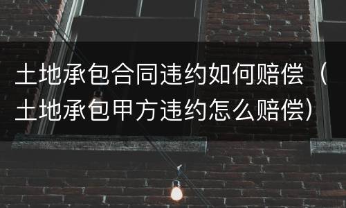 土地承包合同违约如何赔偿（土地承包甲方违约怎么赔偿）