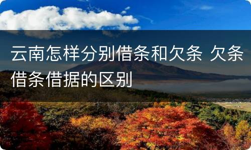 云南怎样分别借条和欠条 欠条借条借据的区别