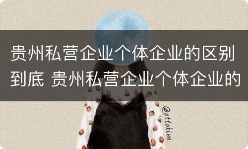 贵州私营企业个体企业的区别到底 贵州私营企业个体企业的区别到底是