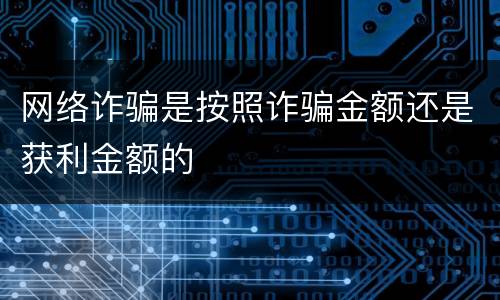 网络诈骗是按照诈骗金额还是获利金额的