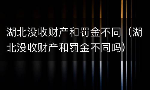 湖北没收财产和罚金不同（湖北没收财产和罚金不同吗）