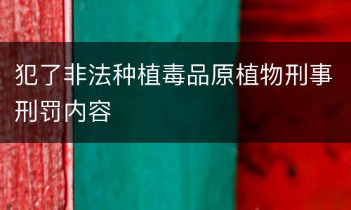 犯了非法种植毒品原植物刑事刑罚内容