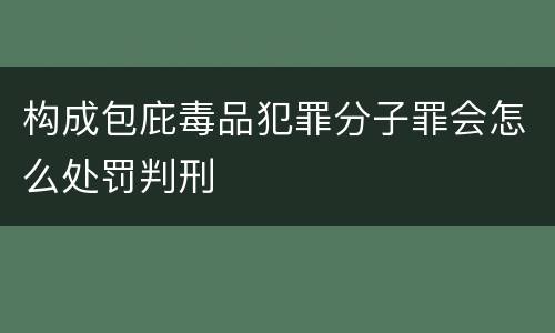 构成包庇毒品犯罪分子罪会怎么处罚判刑