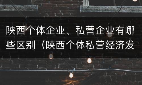 陕西个体企业、私营企业有哪些区别（陕西个体私营经济发展综合服务平台）