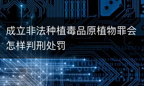 成立非法种植毒品原植物罪会怎样判刑处罚