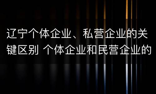 辽宁个体企业、私营企业的关键区别 个体企业和民营企业的区别