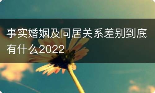 事实婚姻及同居关系差别到底有什么2022
