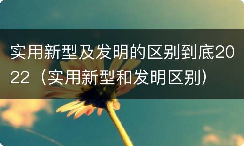 实用新型及发明的区别到底2022（实用新型和发明区别）