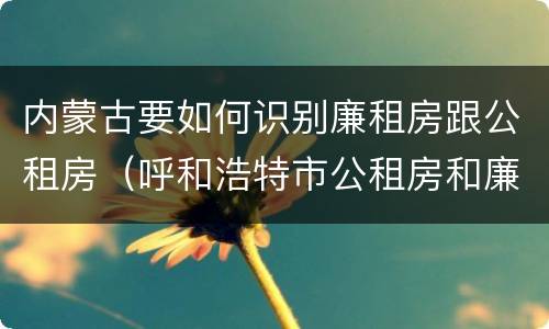 内蒙古要如何识别廉租房跟公租房（呼和浩特市公租房和廉租房的区别）