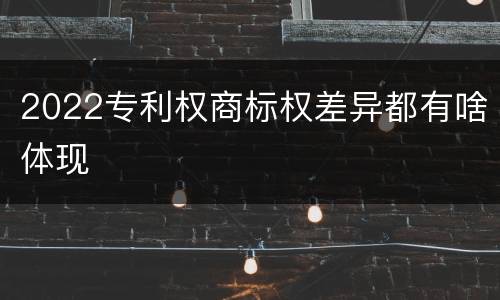 2022专利权商标权差异都有啥体现