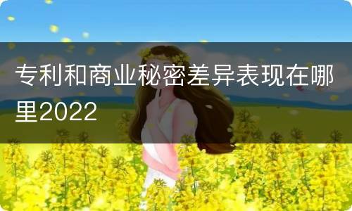 专利和商业秘密差异表现在哪里2022