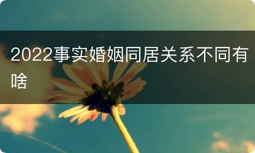 2022事实婚姻同居关系不同有啥