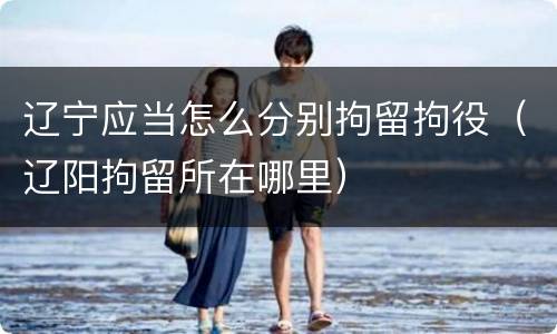 辽宁应当怎么分别拘留拘役（辽阳拘留所在哪里）