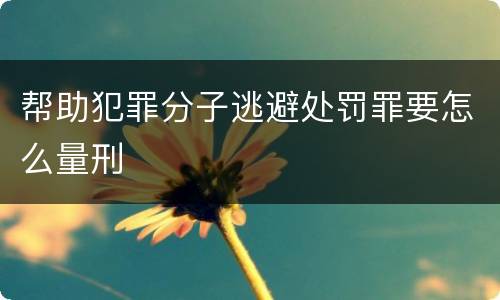 帮助犯罪分子逃避处罚罪要怎么量刑