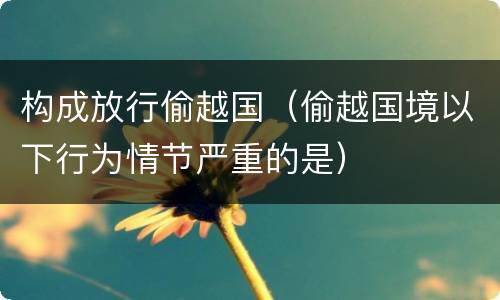 构成放行偷越国（偷越国境以下行为情节严重的是）