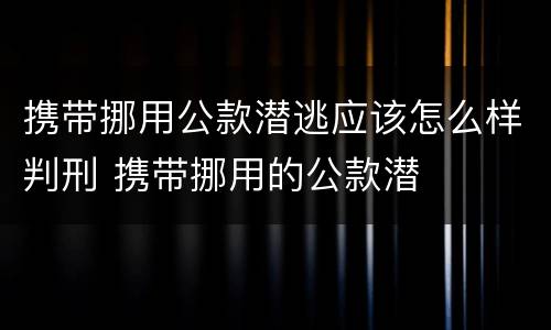 携带挪用公款潜逃应该怎么样判刑 携带挪用的公款潜