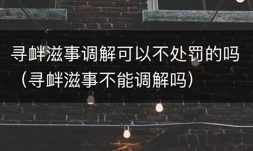 寻衅滋事调解可以不处罚的吗（寻衅滋事不能调解吗）