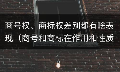 商号权、商标权差别都有啥表现（商号和商标在作用和性质上有较大区别）