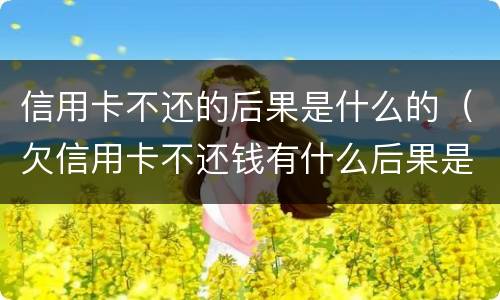 信用卡不还的后果是什么的（欠信用卡不还钱有什么后果是什么）