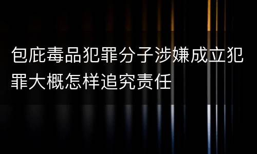 包庇毒品犯罪分子涉嫌成立犯罪大概怎样追究责任