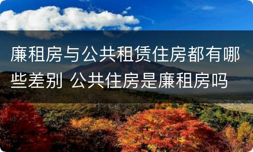 廉租房与公共租赁住房都有哪些差别 公共住房是廉租房吗