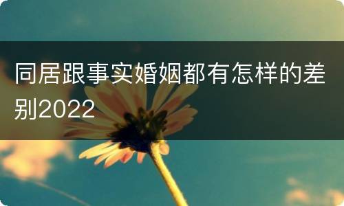 同居跟事实婚姻都有怎样的差别2022