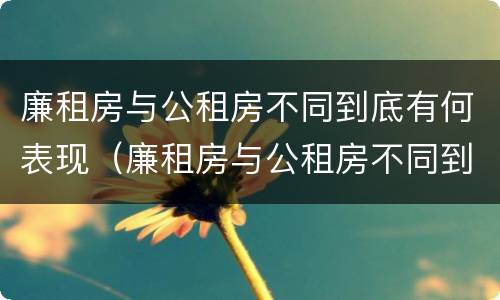 廉租房与公租房不同到底有何表现（廉租房与公租房不同到底有何表现呢）