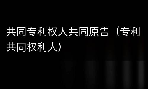 共同专利权人共同原告（专利共同权利人）