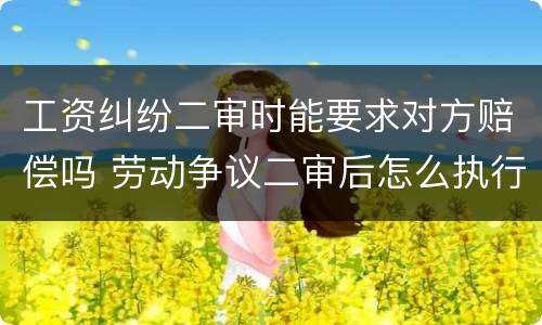 工资纠纷二审时能要求对方赔偿吗 劳动争议二审后怎么执行