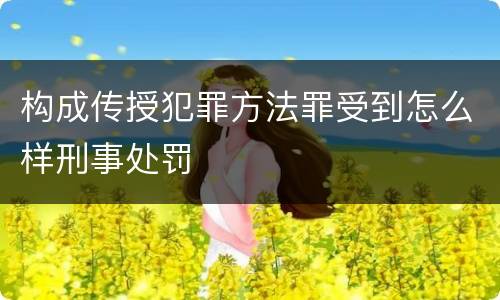 构成传授犯罪方法罪受到怎么样刑事处罚