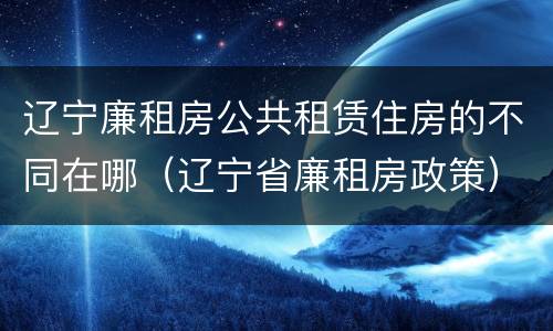 辽宁廉租房公共租赁住房的不同在哪（辽宁省廉租房政策）