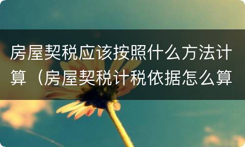 房屋契税应该按照什么方法计算（房屋契税计税依据怎么算）