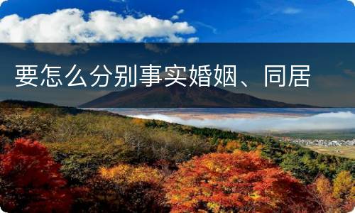 要怎么分别事实婚姻、同居