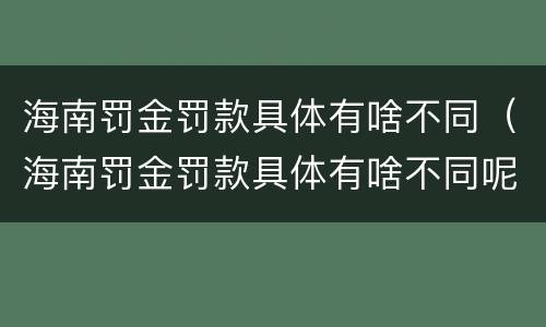 海南罚金罚款具体有啥不同（海南罚金罚款具体有啥不同呢）