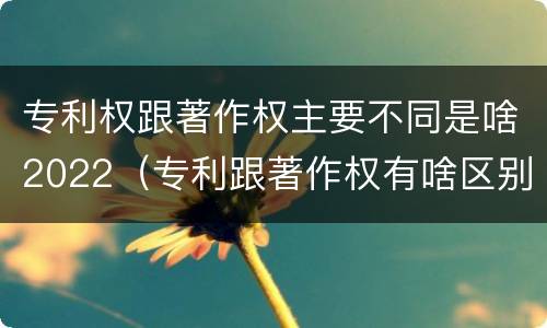 专利权跟著作权主要不同是啥2022（专利跟著作权有啥区别）