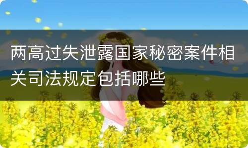 两高过失泄露国家秘密案件相关司法规定包括哪些