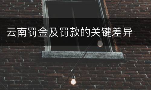 云南罚金及罚款的关键差异
