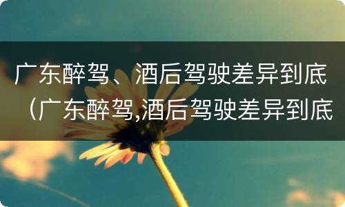 广东醉驾、酒后驾驶差异到底（广东醉驾,酒后驾驶差异到底多大）