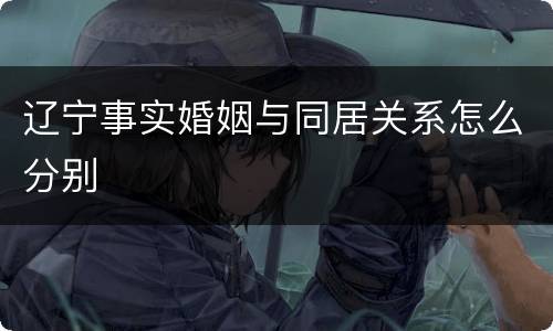 辽宁事实婚姻与同居关系怎么分别