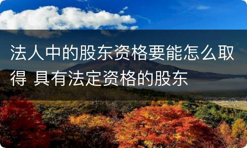 法人中的股东资格要能怎么取得 具有法定资格的股东