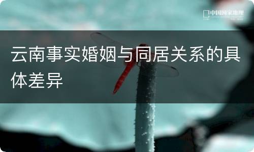 云南事实婚姻与同居关系的具体差异
