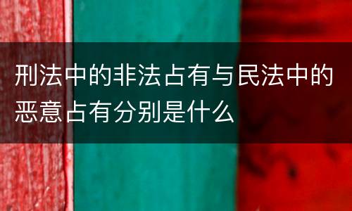 刑法中的非法占有与民法中的恶意占有分别是什么