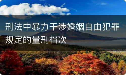 刑法中暴力干涉婚姻自由犯罪规定的量刑档次