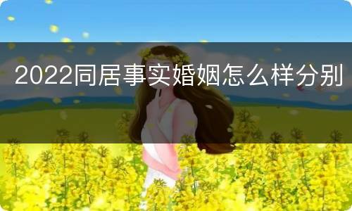 2022同居事实婚姻怎么样分别