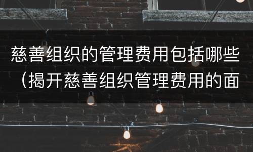 慈善组织的管理费用包括哪些（揭开慈善组织管理费用的面纱）