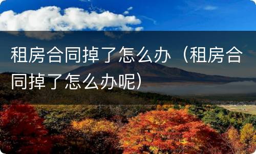 租房合同掉了怎么办（租房合同掉了怎么办呢）