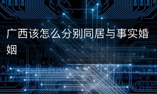 广西该怎么分别同居与事实婚姻